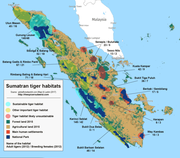 Tiger sumatran population tigers data status