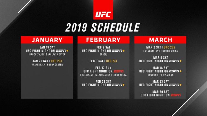 Jadwal dan hasil pertandingan UFC terbaru