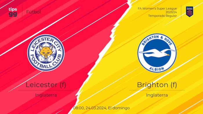 Leicester City vs Brighton: analisis pertandingan dan peluang kemenangan