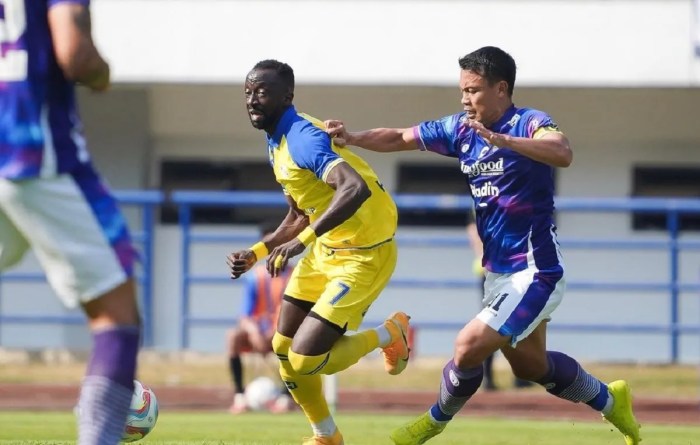 Hasil pertandingan Barito Putera vs Persib Bandung