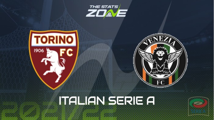 Prediksi skor pertandingan Venezia di liga Italia musim ini